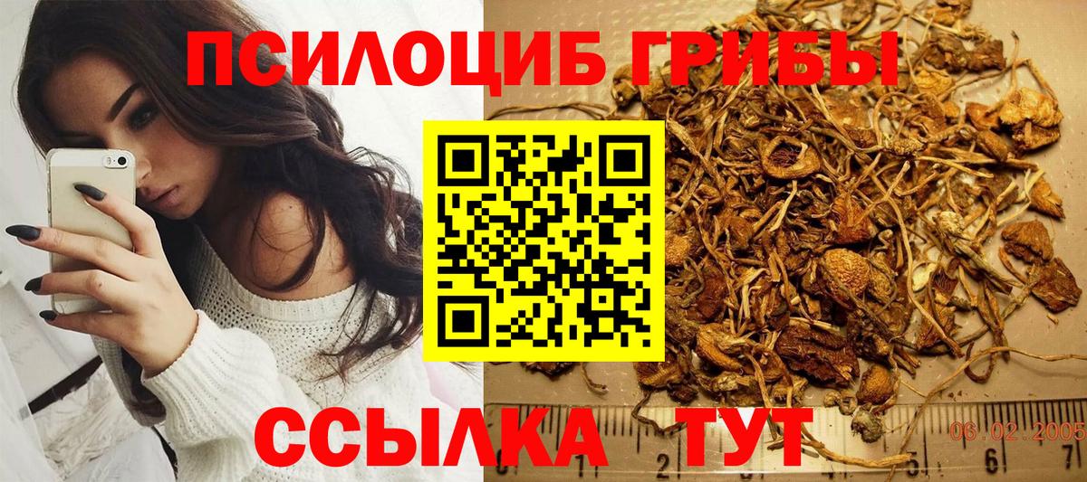 Барнаул  Псилоцибиновые грибы MAGIC MUSHROOMS  Вход с VPN 