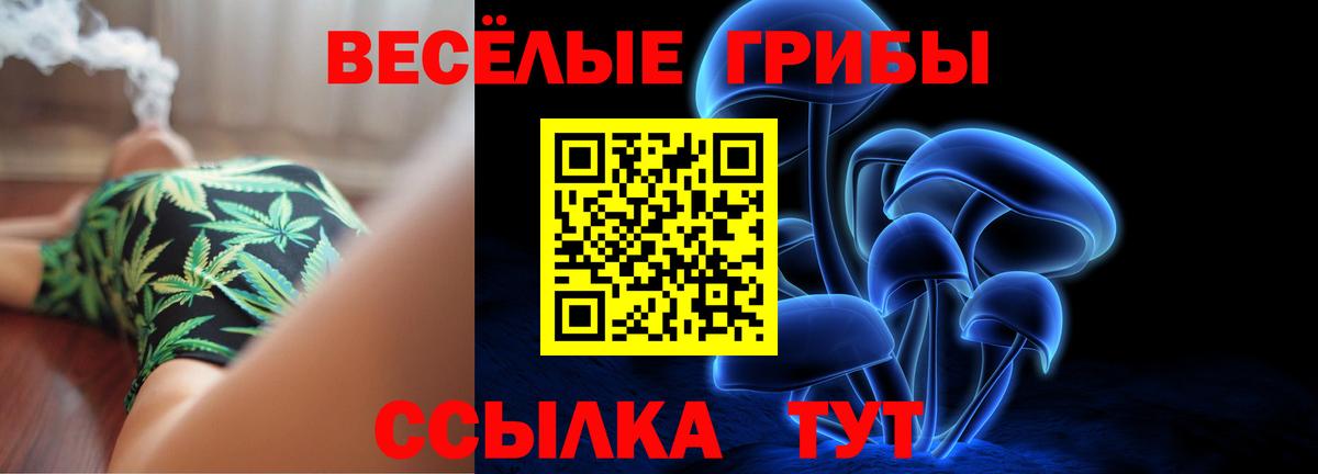 Галлюциногенные грибы Psilocybe Барнаул